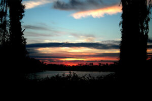 A vibrant sunset over the water in Florida, framed between two trees, with the warm glow of evening light.