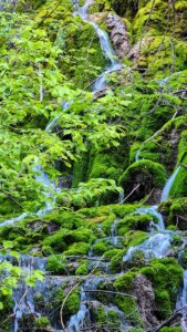 A turquoise mountain stream flows down from Hanging Lake through a lush Colorado forest.